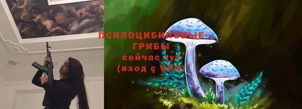 ГАЛЛЮЦИНОГЕННЫЕ ГРИБЫ Абинск