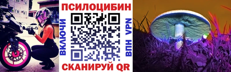 мега ТОР Козловка Галлюциногенные грибы прущие грибы это наркотические препараты закладки